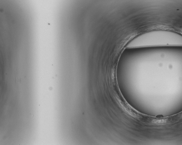 X0000066520057200603171000