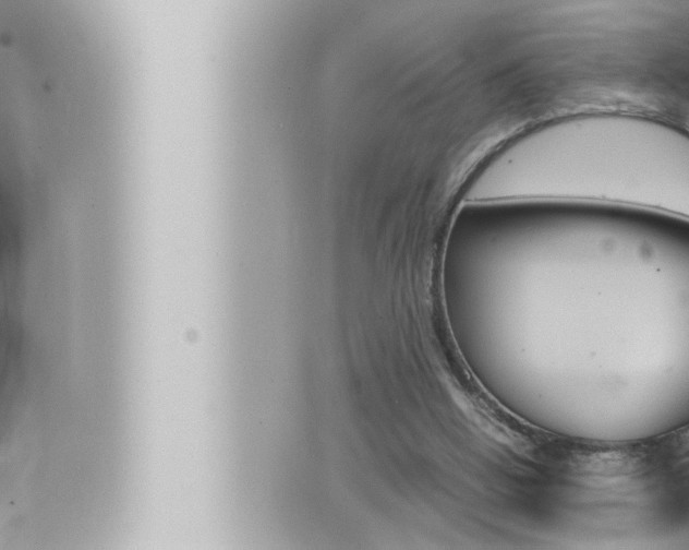 X0000066520058200603171000