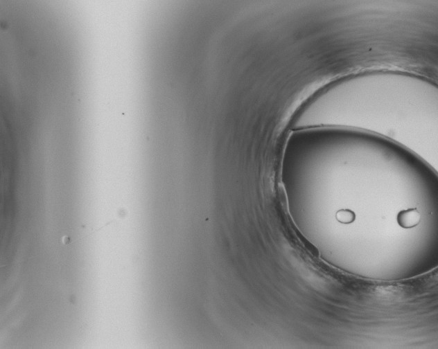 X0000066520060200603171000