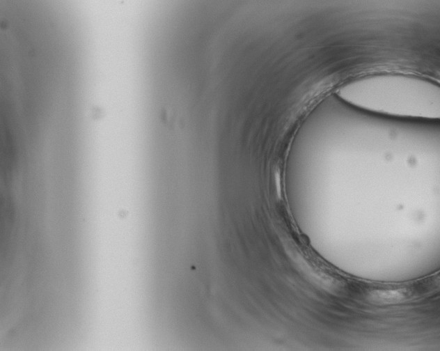 X0000066520061200603171000