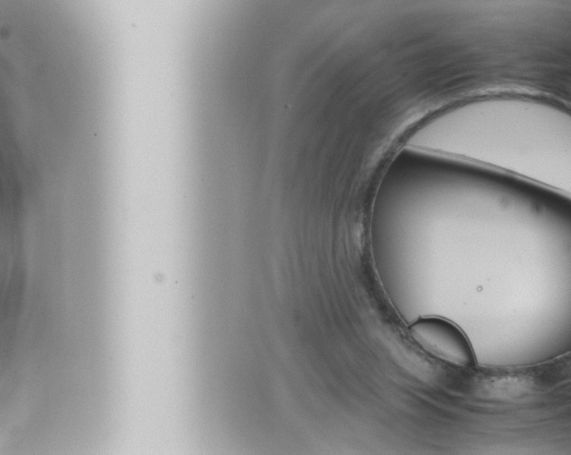 X0000066520063200603171000