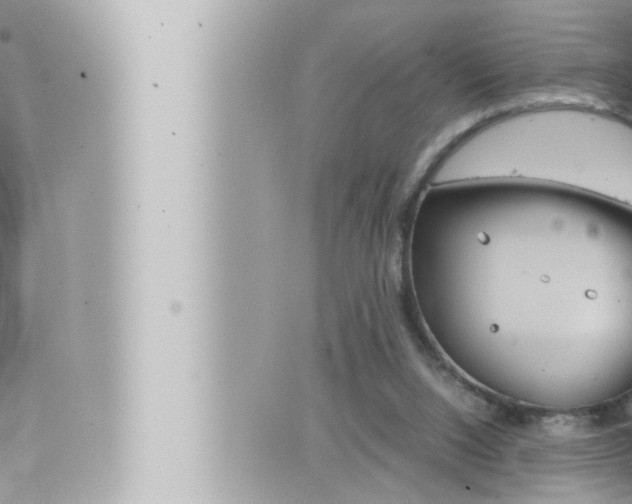 X0000066520064200603171000