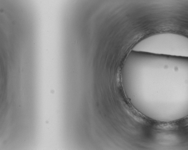 X0000066520065200603171000