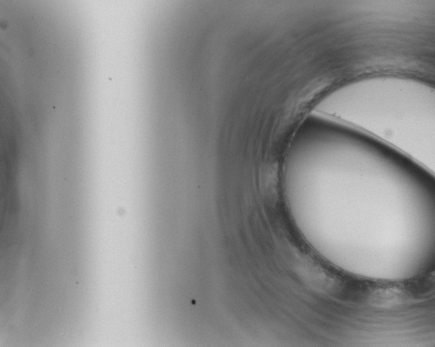 X0000066520066200603171000