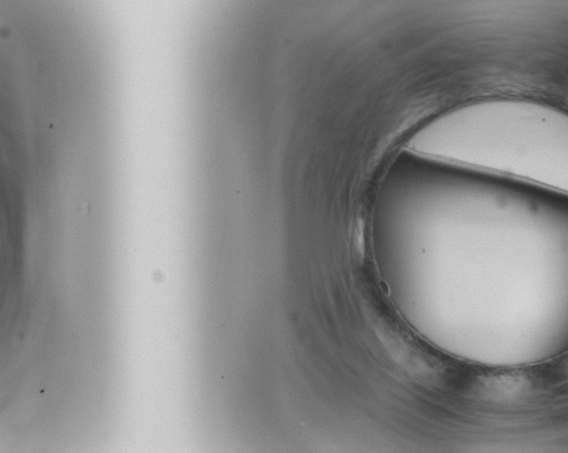 X0000066520067200603171000