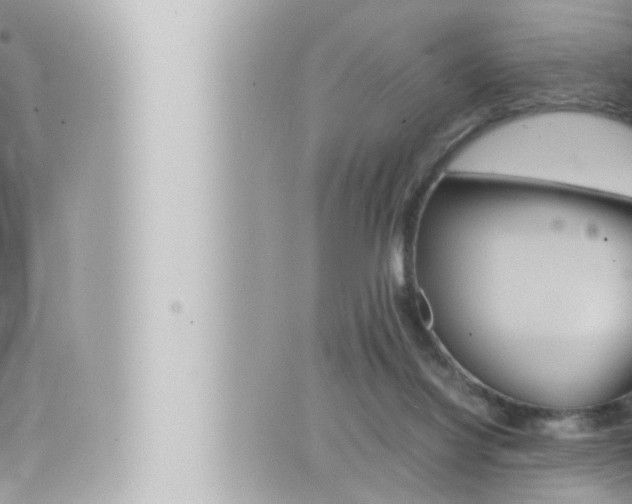 X0000066520068200603171000