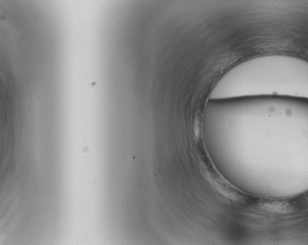 X0000066520069200603171000