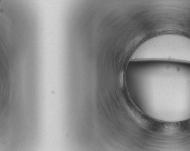 X0000066520070200603171000