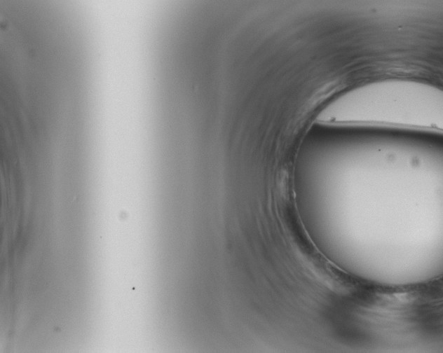 X0000066520071200603171000