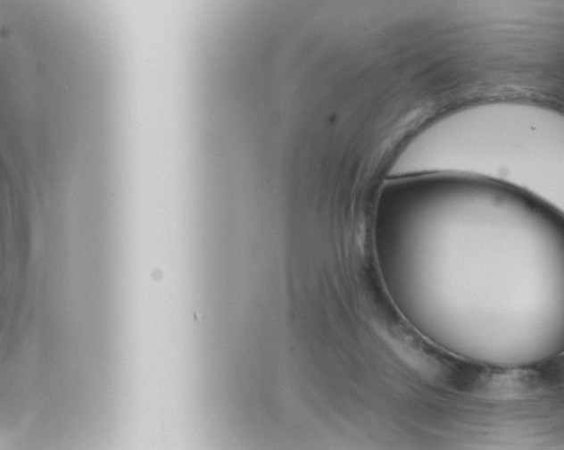 X0000066520072200603171000