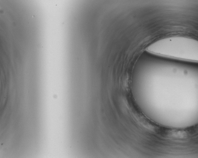 X0000066520073200603171001