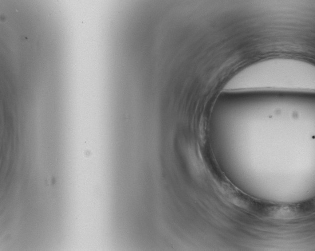 X0000066520074200603171001