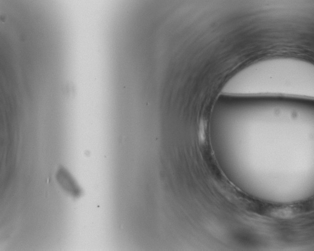 X0000066520075200603171001