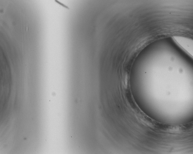 X0000066520076200603171001