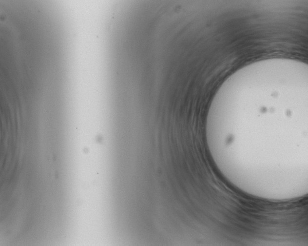 X0000066520077200603171001