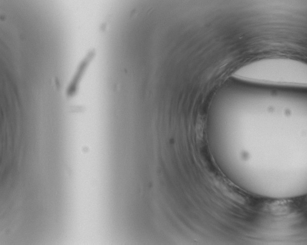 X0000066520078200603171001