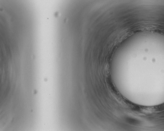 X0000066520079200603171001