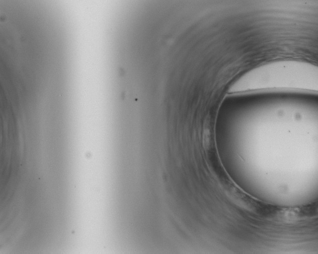 X0000066520080200603171001