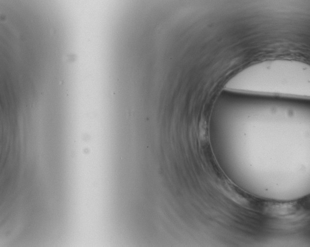 X0000066520081200603171001