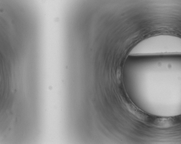 X0000066520082200603171001