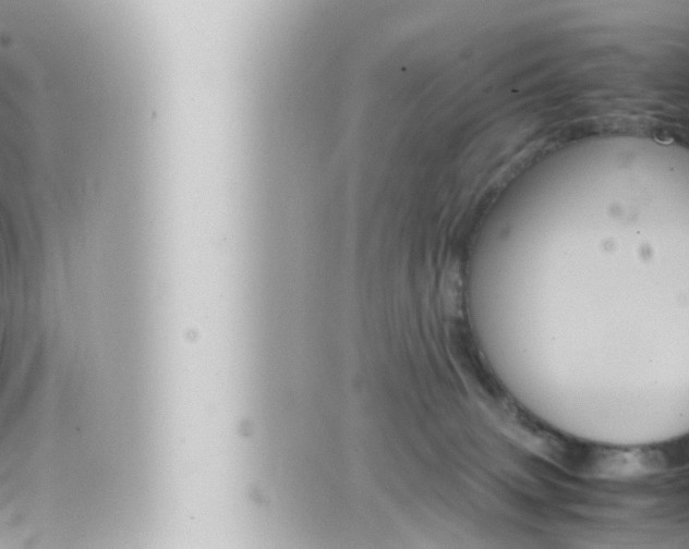 X0000066520083200603171001