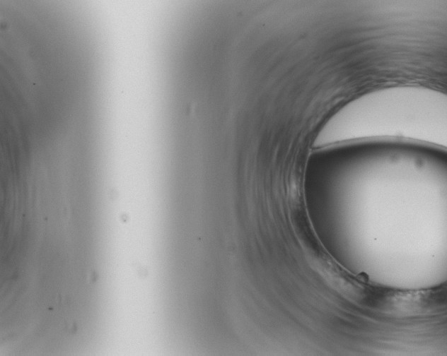 X0000066520084200603171001