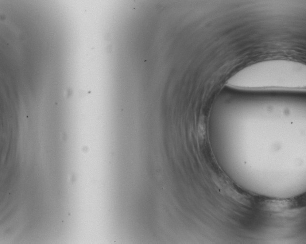 X0000066520085200603171001