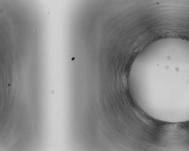 X0000066520086200603171001