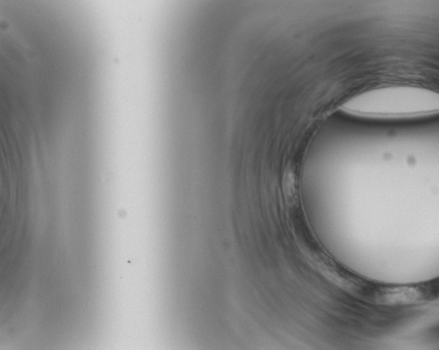 X0000066520087200603171001