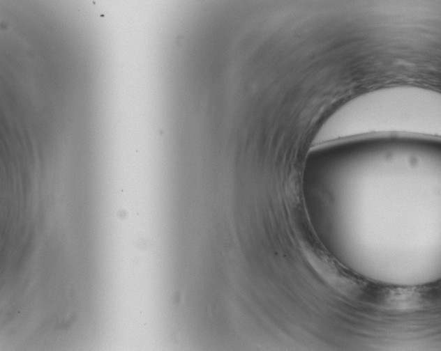 X0000066520088200603171001