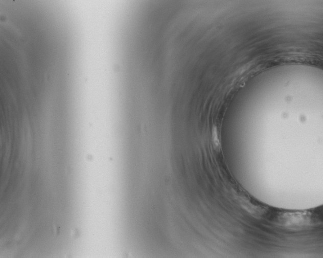 X0000066520089200603171001