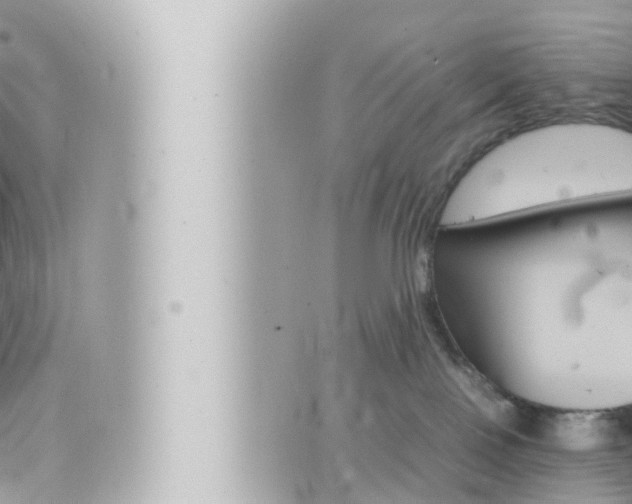 X0000066520090200603171001