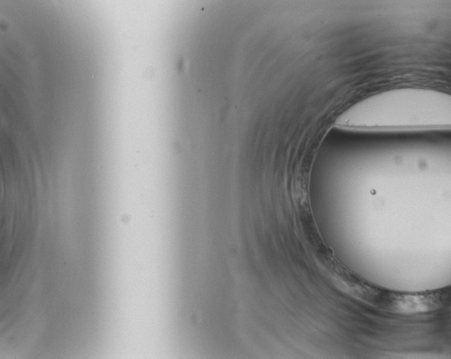 X0000066520091200603171001