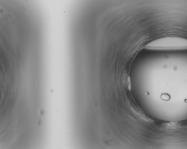 X0000066520092200603171001