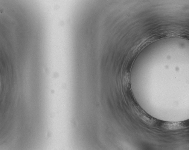 X0000066520093200603171001