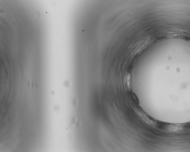 X0000066520094200603171001