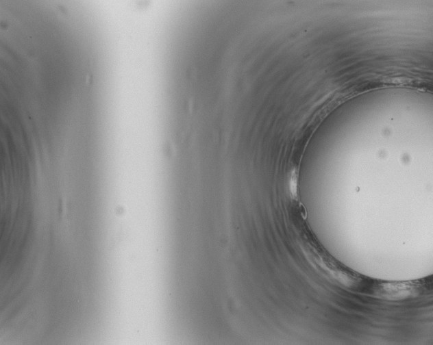 X0000066520095200603171001