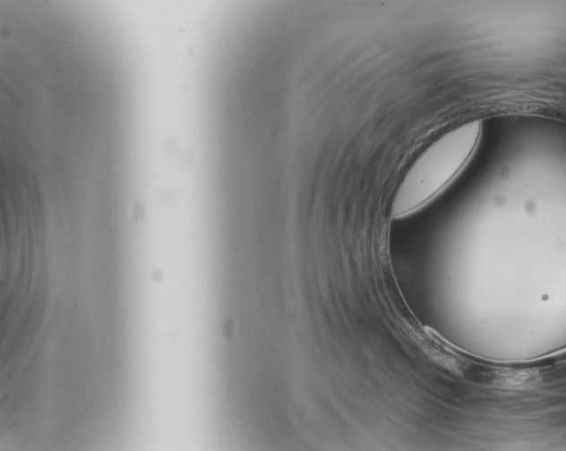 X0000066520096200603171001