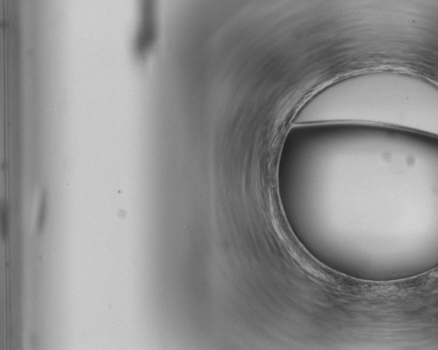 X0000066520097200603171000