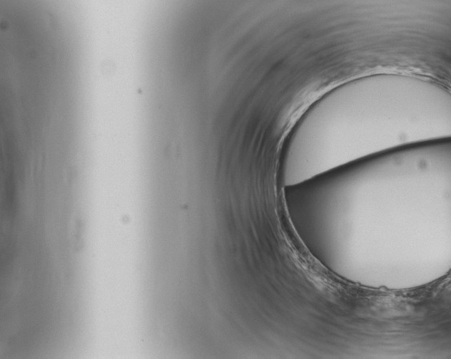 X0000066520098200603171000