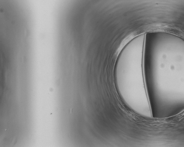 X0000066520099200603171000