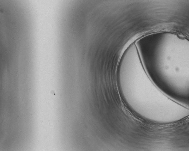 X0000066520100200603171000