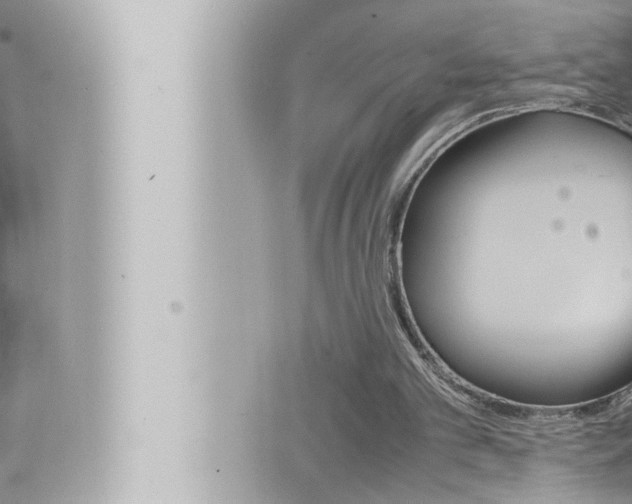 X0000066520101200603171000