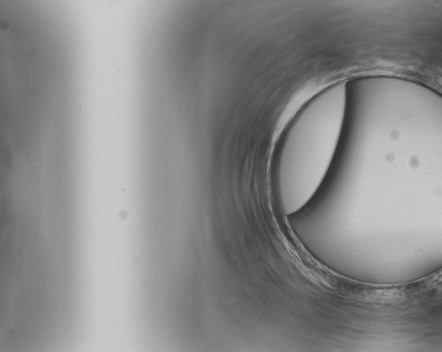 X0000066520102200603171000