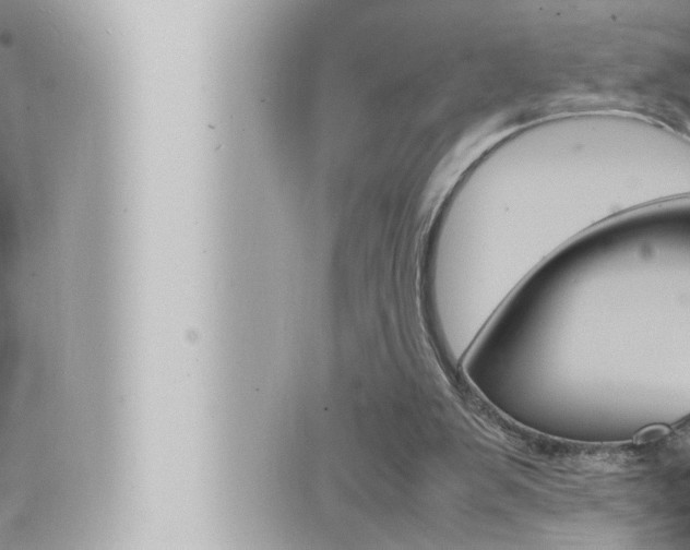 X0000066520103200603171000