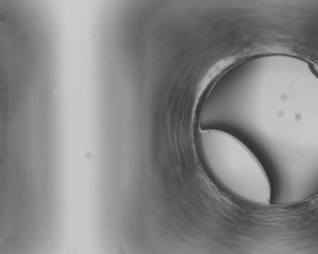 X0000066520104200603171000