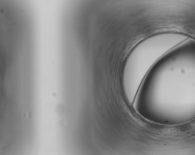 X0000066520105200603171000