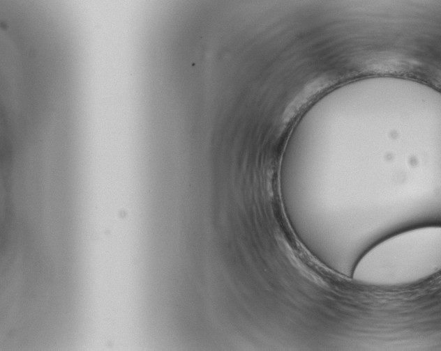 X0000066520106200603171000