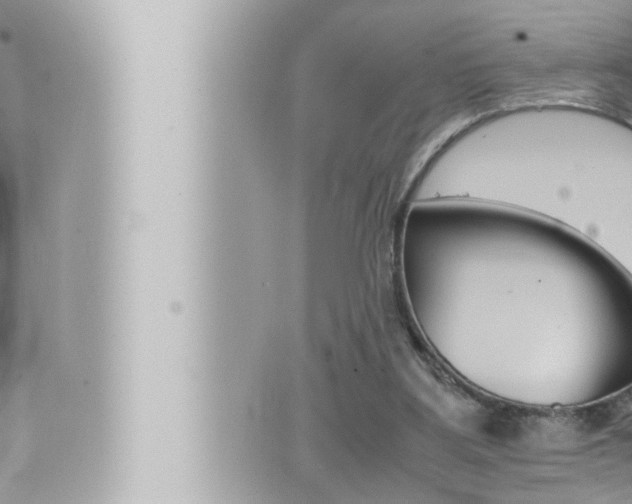 X0000066520107200603171000