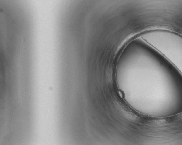 X0000066520108200603171000